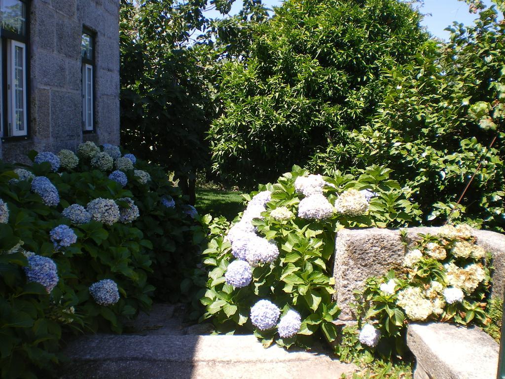 Casa Das Vendas Cameră foto
